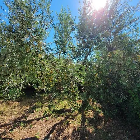 Tulux * Poreč